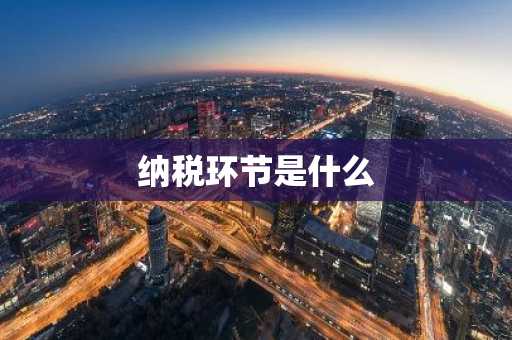 纳税环节是什么