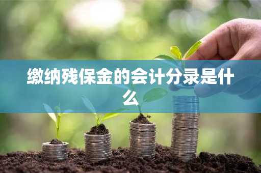 缴纳残保金的会计分录是什么