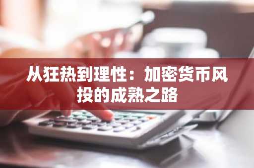 从狂热到理性：加密货币风投的成熟之路