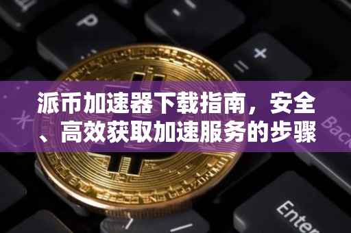 派币加速器下载指南，安全、高效获取加速服务的步骤