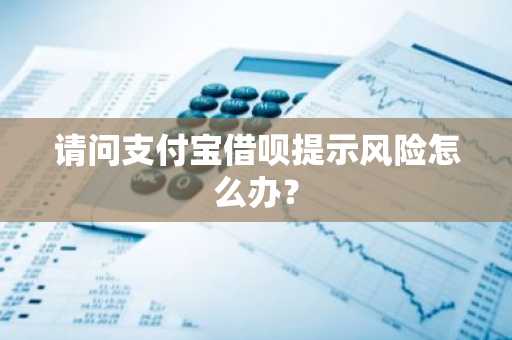 请问支付宝借呗提示风险怎么办？