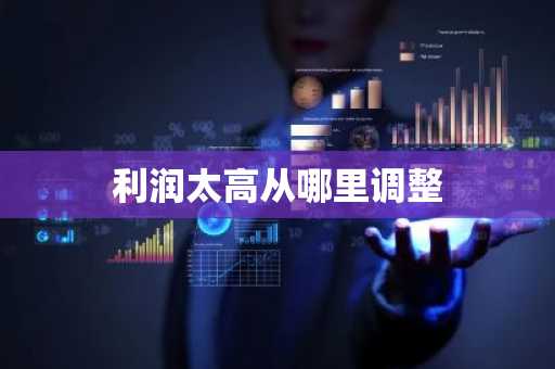 利润太高从哪里调整