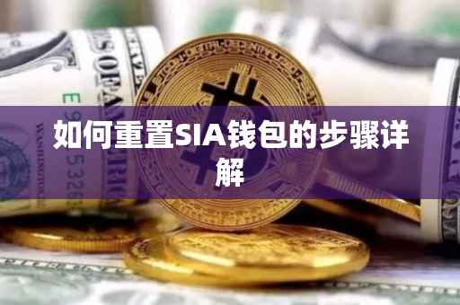 如何重置SIA钱包的步骤详解