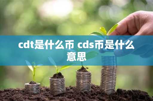 cdt是什么币 cds币是什么意思