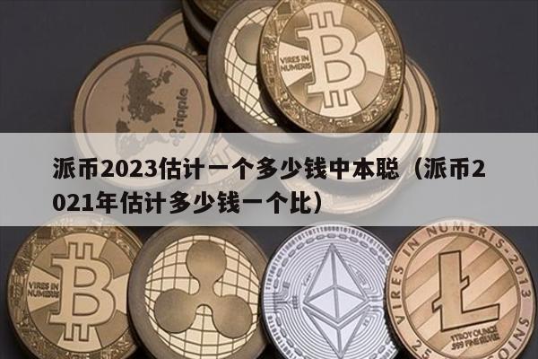 派币2023估计一个多少钱中本聪（派币2021年估计多少钱一个比）