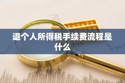 退个人所得税手续费流程是什么