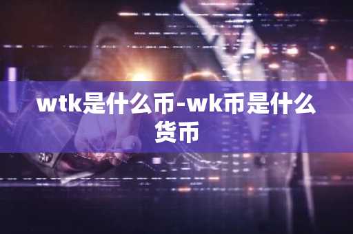 wtk是什么币-wk币是什么货币