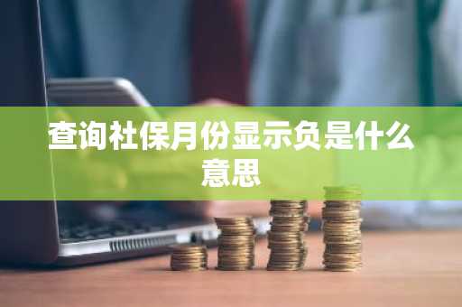 查询社保月份显示负是什么意思