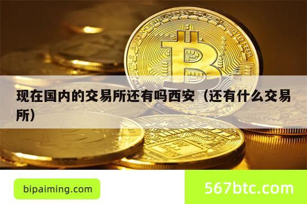 现在国内的交易所还有吗西安（还有什么交易所）