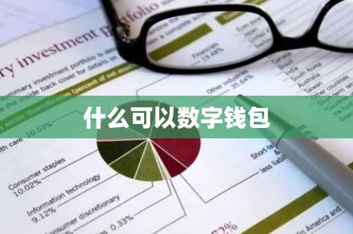什么可以数字钱包