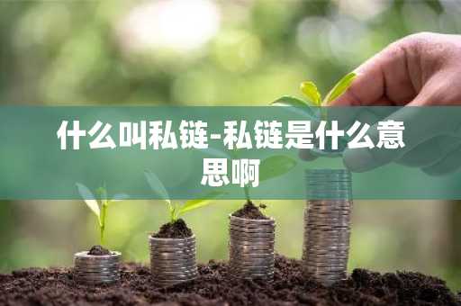 什么叫私链-私链是什么意思啊
