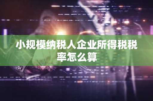 小规模纳税人企业所得税税率怎么算