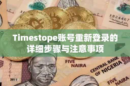 Timestope账号重新登录的详细步骤与注意事项