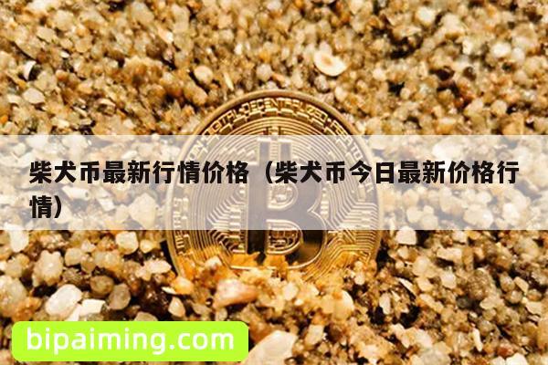 柴犬币最新行情价格（柴犬币今日最新价格行情）
