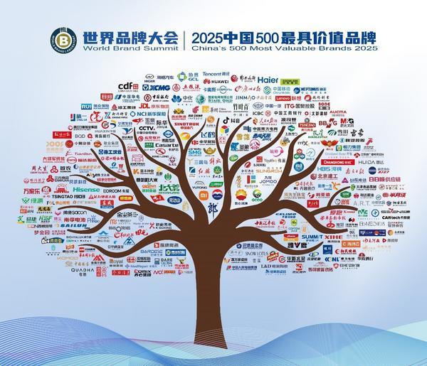 三生御坊堂荣登2025年《中国500最具价值品牌》榜单，以现代中医药智慧焕发品牌新生力