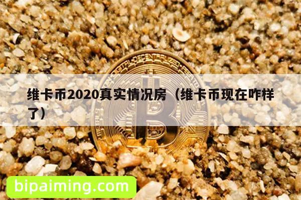 维卡币2020真实情况房（维卡币现在咋样了）