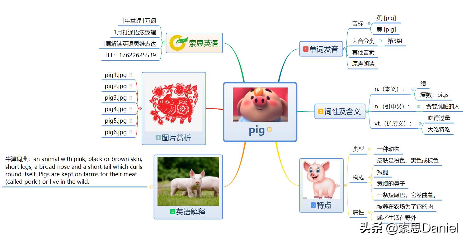 猪的英语怎么读（pig的英语怎么读）