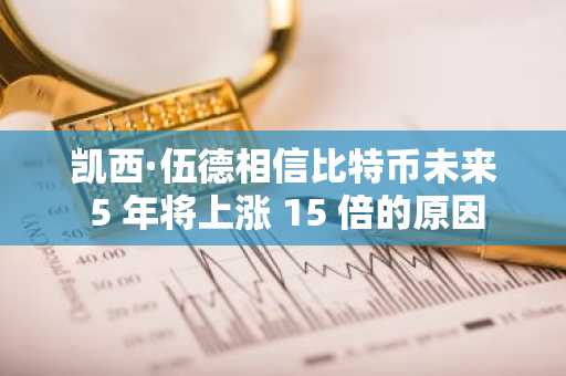 凯西·伍德相信比特币未来 5 年将上涨 15 倍的原因