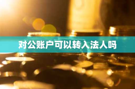 对公账户可以转入法人吗