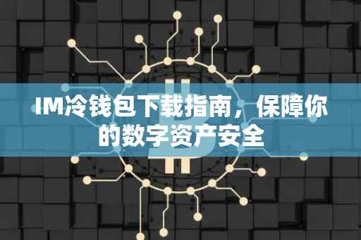 IM冷钱包下载指南，保障你的数字资产安全