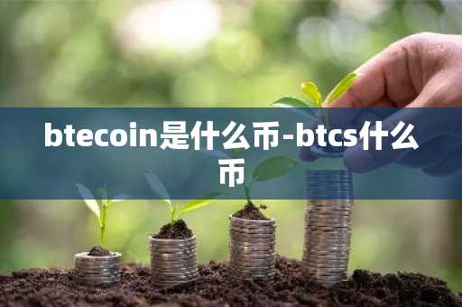 btecoin是什么币-btcs什么币