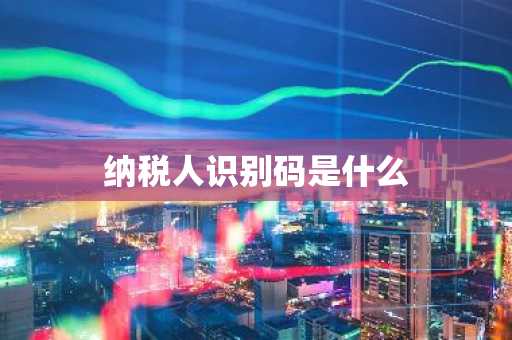 纳税人识别码是什么