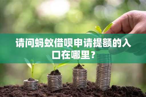请问蚂蚁借呗申请提额的入口在哪里？