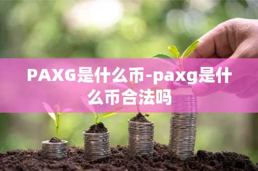 PAXG是什么币-paxg是什么币合法吗