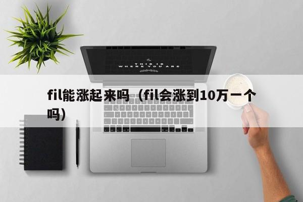 fil能涨起来吗（fil会涨到10万一个吗）