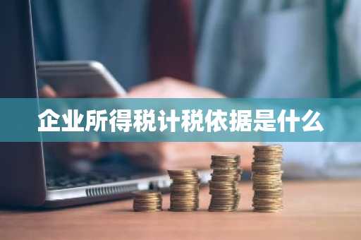 企业所得税计税依据是什么