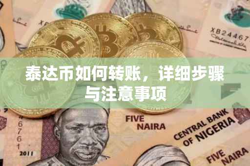 泰达币如何转账，详细步骤与注意事项