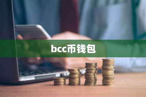 bcc币钱包