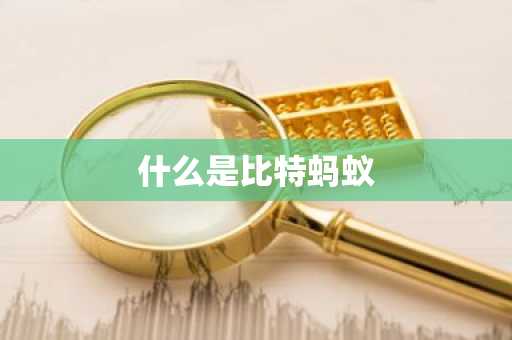 什么是比特蚂蚁