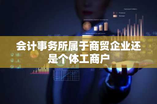 会计事务所属于商贸企业还是个体工商户