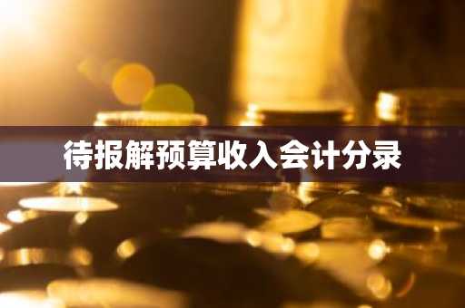 待报解预算收入会计分录