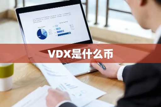 VDX是什么币