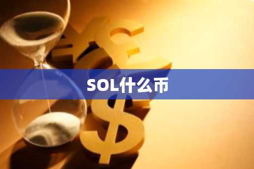 SOL什么币
