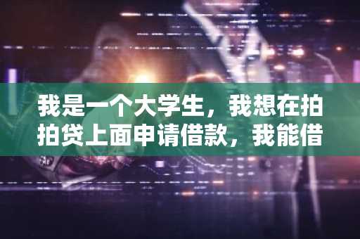 我是一个大学生，我想在拍拍贷上面申请借款，我能借到多少钱？