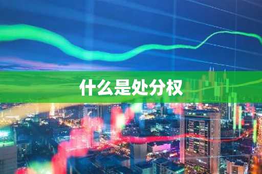 什么是处分权