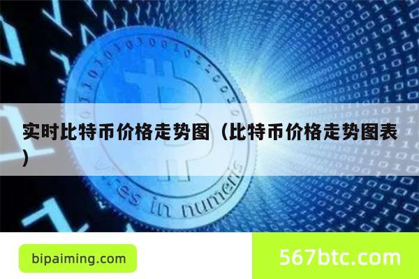实时比特币价格走势图（比特币价格走势图表）