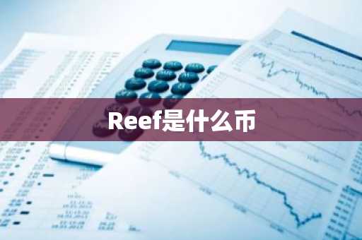 Reef是什么币