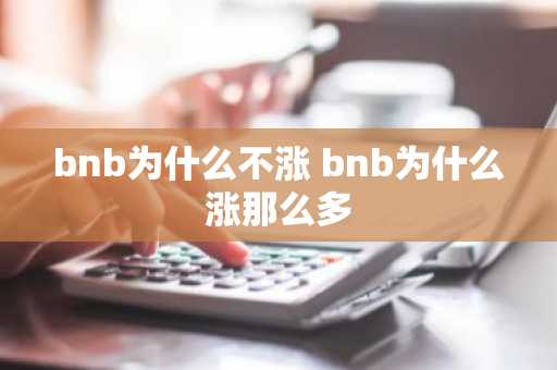 bnb为什么不涨 bnb为什么涨那么多