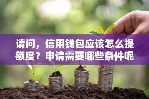 请问，信用钱包应该怎么提额度？申请需要哪些条件呢？好申请吗？
