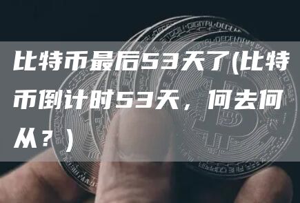 比特币最后53天了 - 比特币倒计时53天，何去何从？