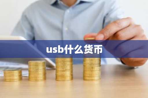 usb什么货币