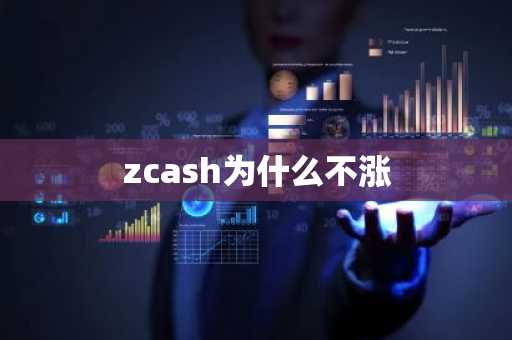 zcash为什么不涨