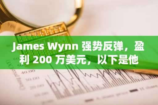 James Wynn 强势反弹，盈利 200 万美元，以下是他成功的方法