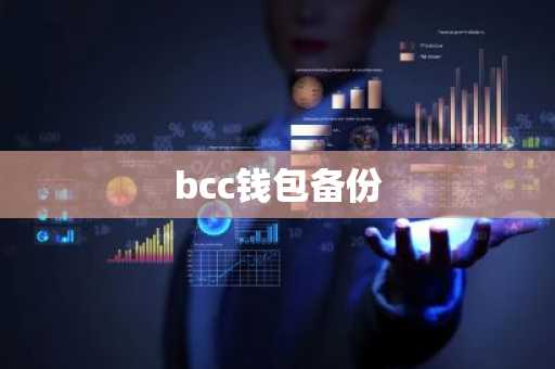 bcc钱包备份