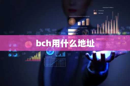 bch用什么地址