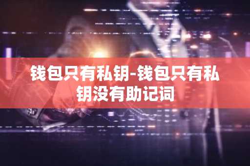 钱包只有私钥-钱包只有私钥没有助记词